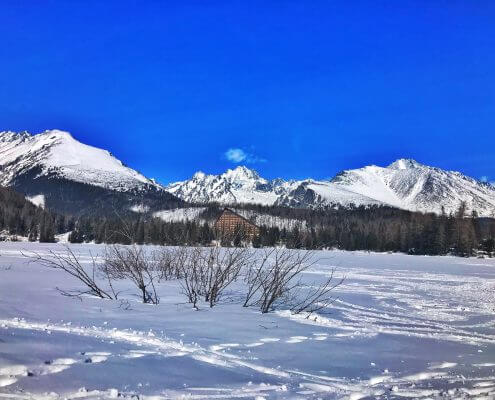 Prenájom chaty vo Vysokých Tatrách, ubytovanie Vysoké Tatry - Villa Zoja